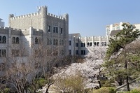 동덕의 봄